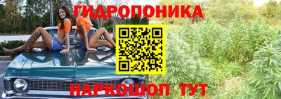 крисы Балашиха