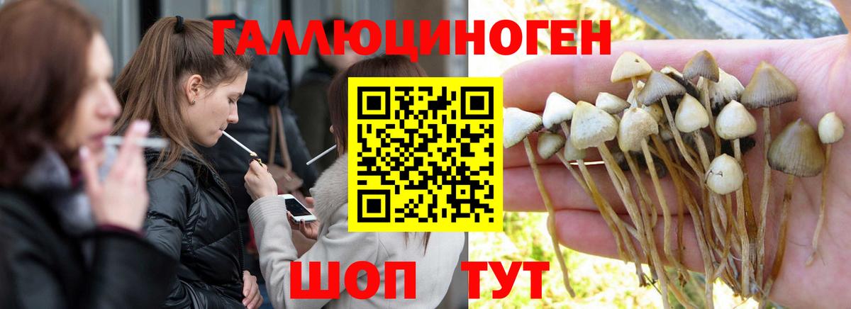 Галлюциногенные грибы Magic Shrooms  где найти наркотики  Родники  Псилоцибиновые грибы GOLDEN TEACHER  Вход с VPN 